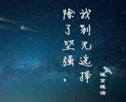 除了坚强别无选择图片，女人坚强不认输的图片