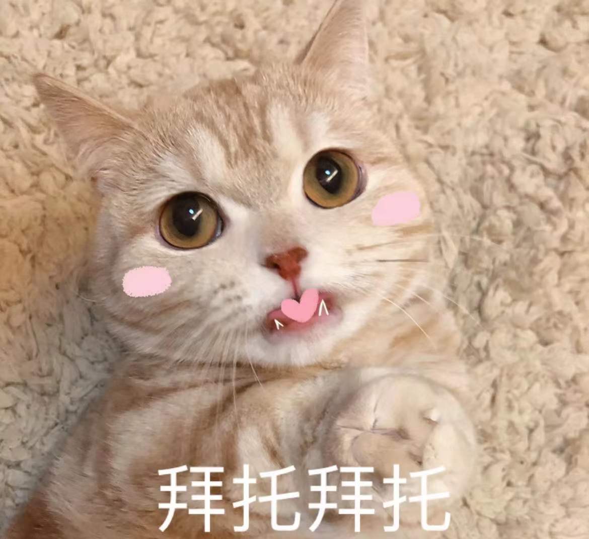 向男人撒娇的表情图片,女人向男人撒娇表情图