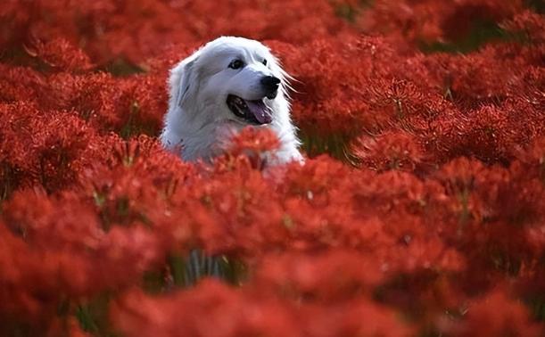 怎么做一个会说话的人,如何提高情商和说话技巧