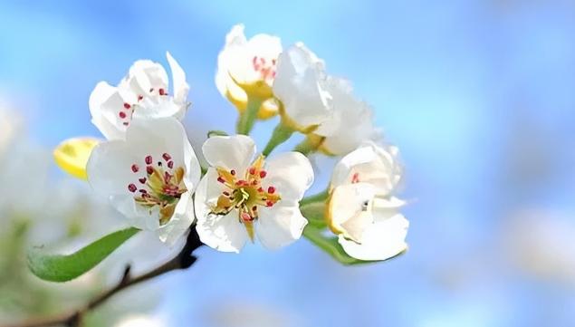 怎么做一个会说话的人,如何提高情商和说话技巧