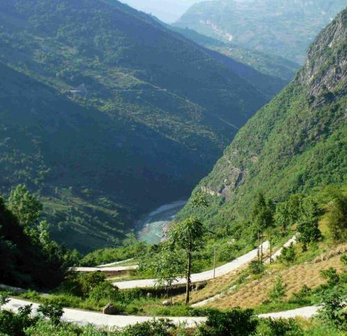 为啥越聪明的人越不喜欢交朋友