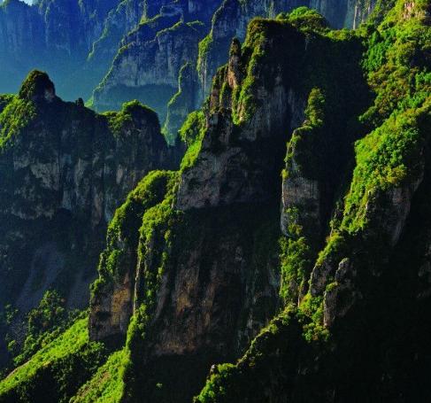 为啥越聪明的人越不喜欢交朋友