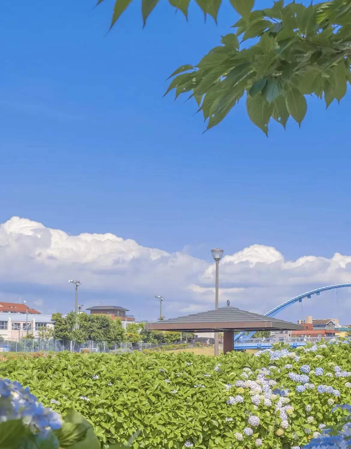 特别适合夏天的图片,夏天的迷人风景图片-528时尚网