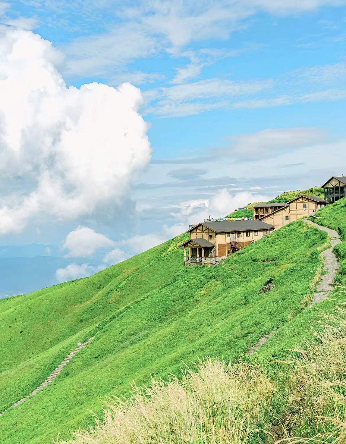 特别适合夏天的图片,夏天的迷人风景图片