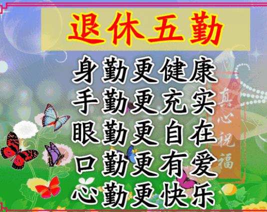 何以解忧唯有退休图片