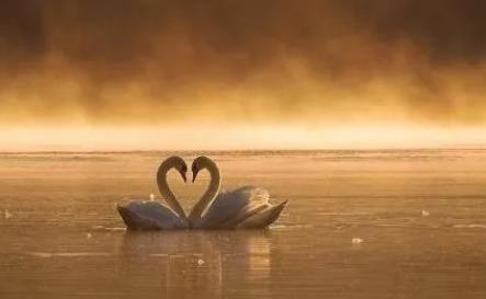 很暖心很有爱的图片,满天繁星图片唯美高清