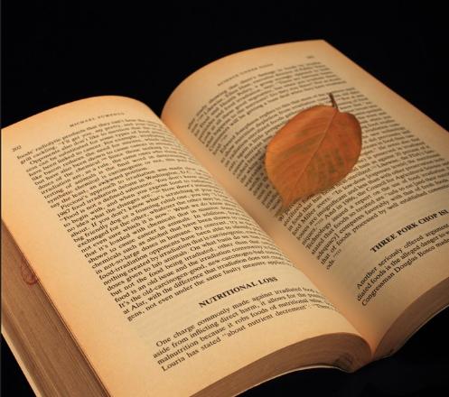 为什么不能送书给女生,男生送书给女生看代表什么意思