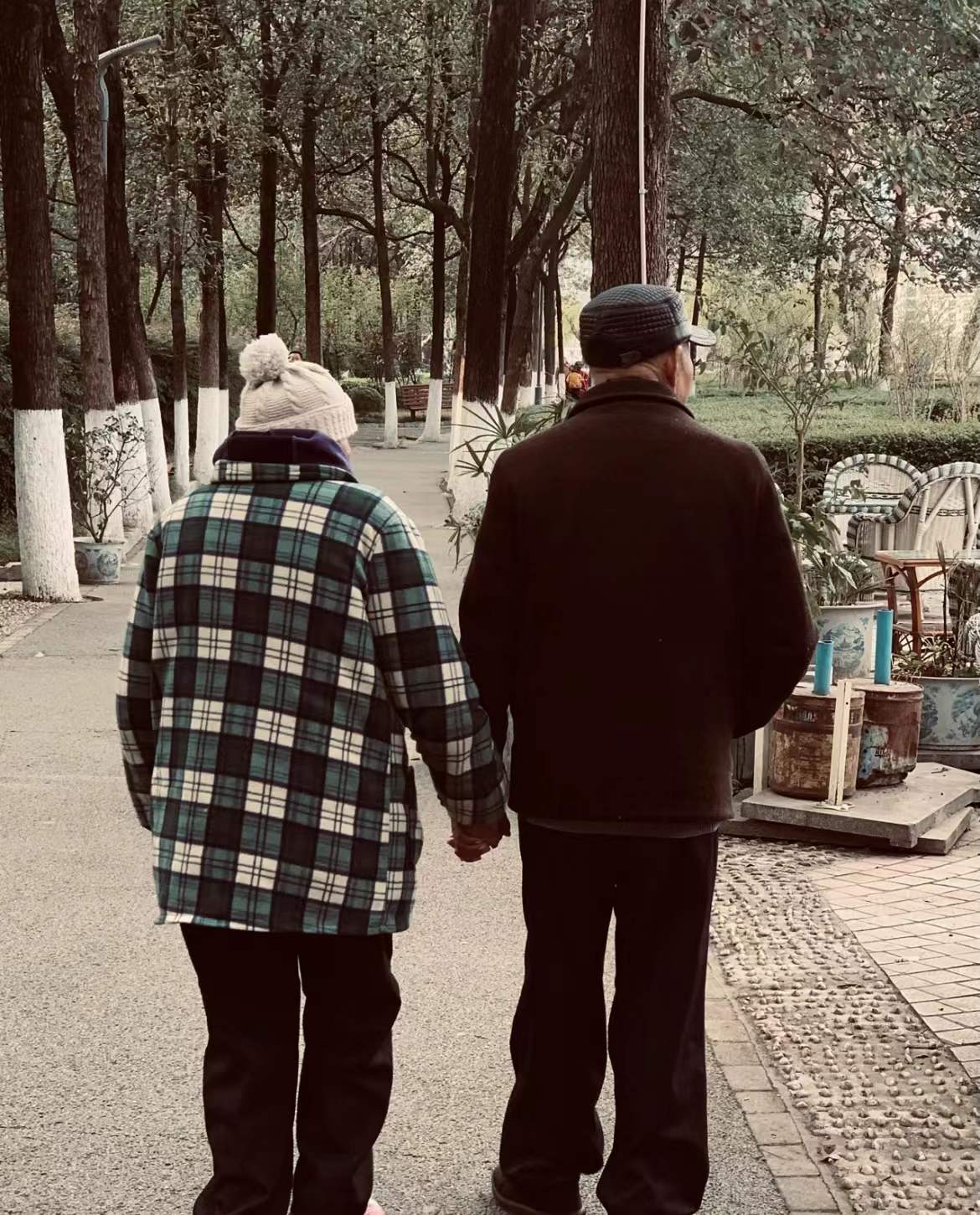 老年夫妻背影图片00