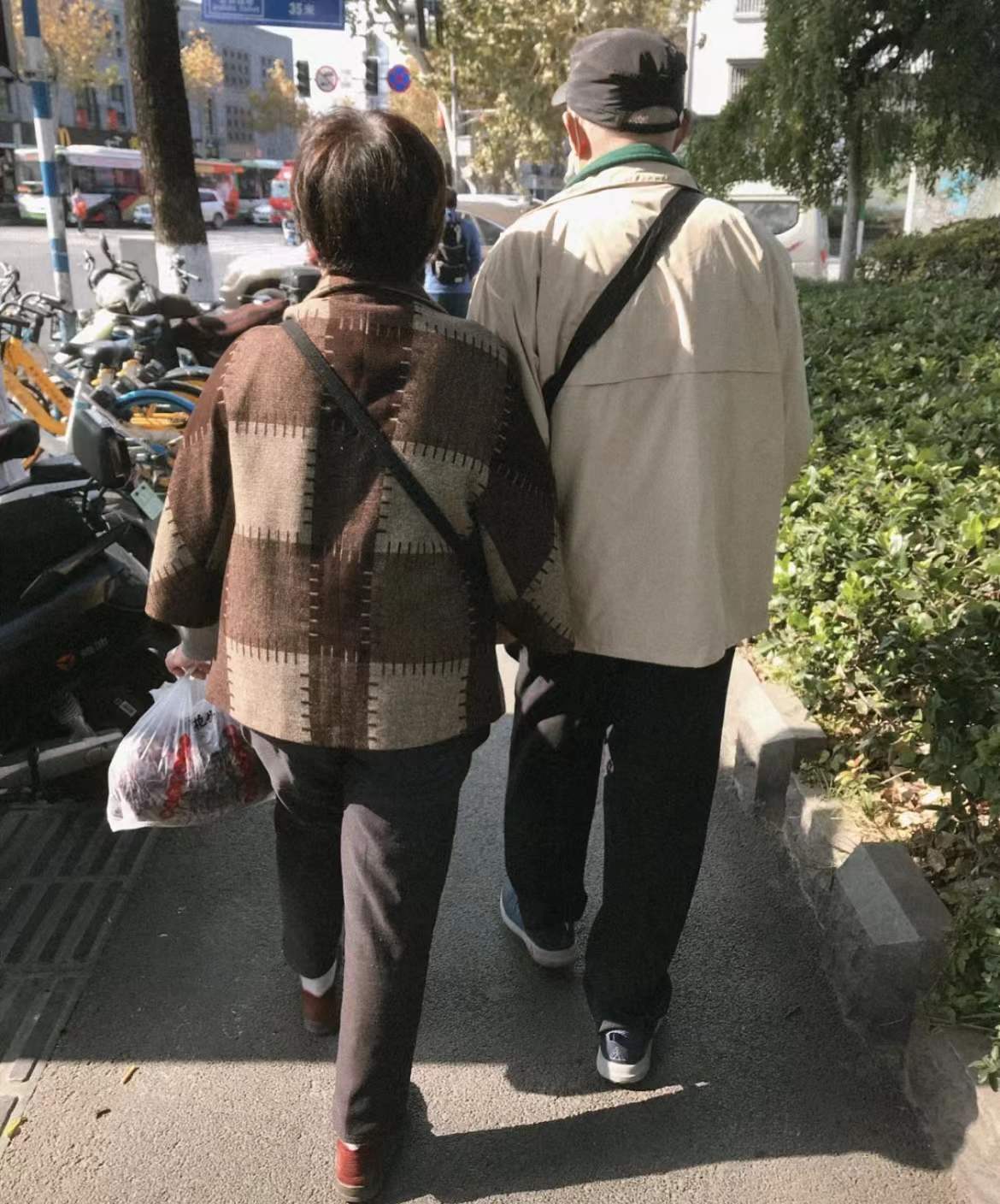 高清老年夫妻背影图片,老年夫妻夕阳下牵手背影唯美图片