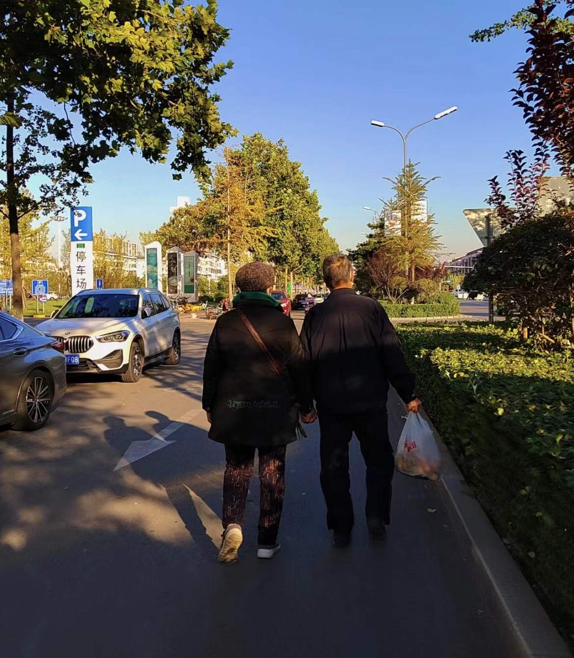 老年夫妻背影图片00