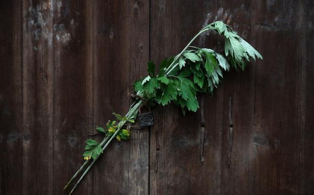 端午不能做三件事，哪三种人家不能挂艾叶