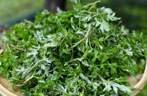 艾草泡脚4大禁忌,用艾草泡脚有什么禁忌吗