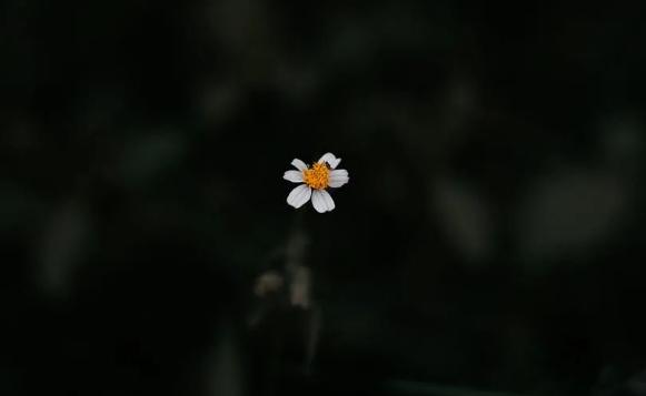 怎么养成温柔的性格,男生性格怎么变温柔