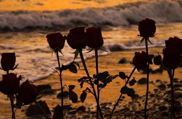 12星座最容易婚后出轨的星座