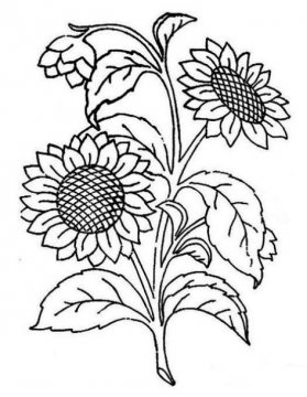 简笔画花草树木画图片17