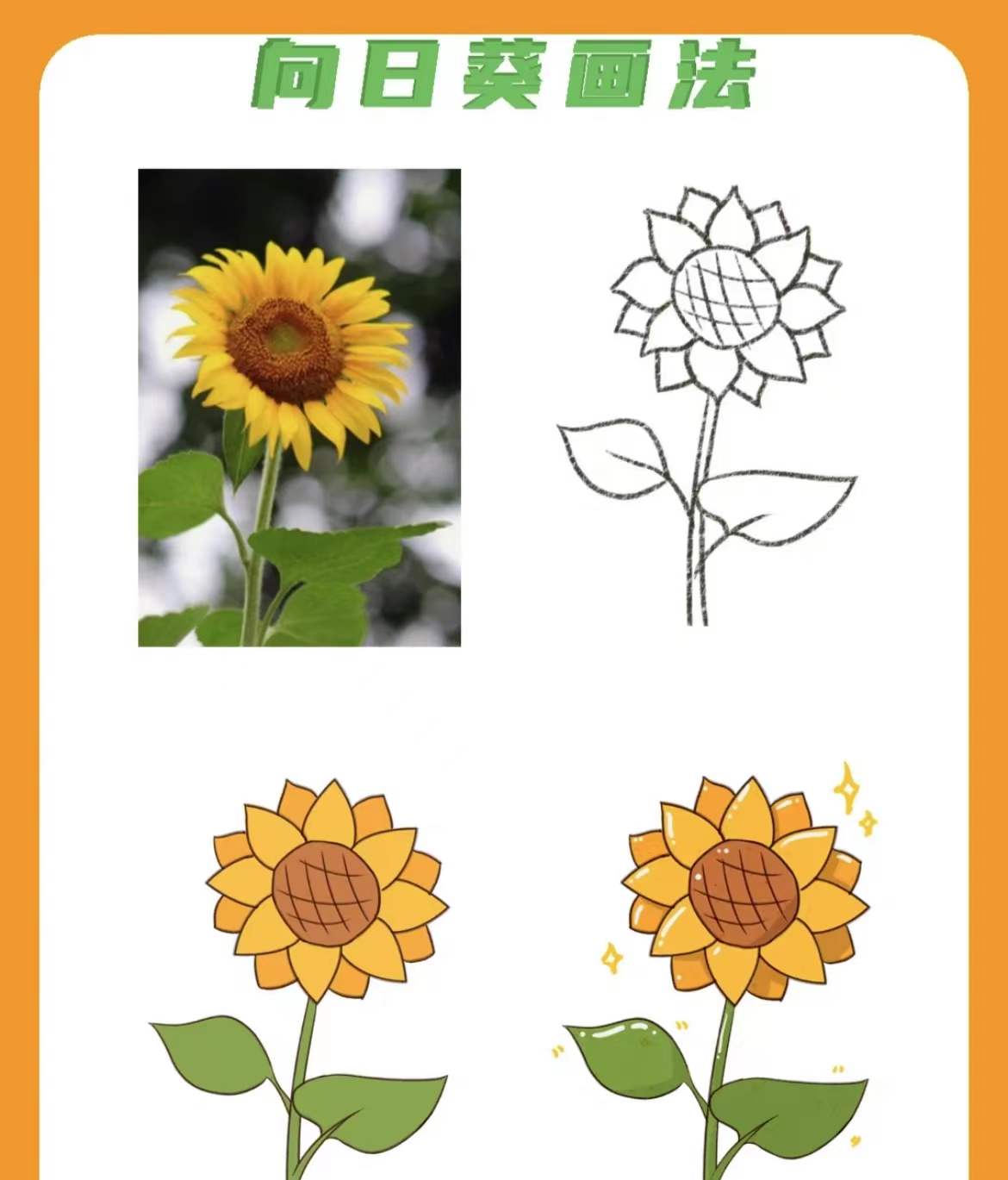 简笔画向日葵画法图片,一大片向日葵的简笔画