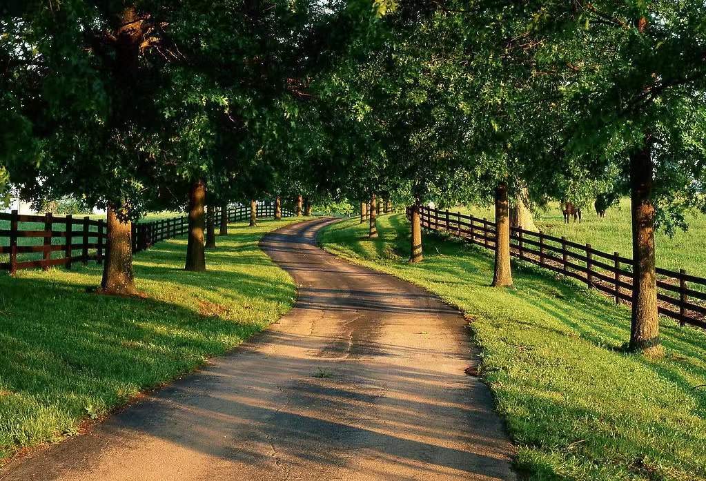 农村迷人风景图片,乡间小路唯美意境图片