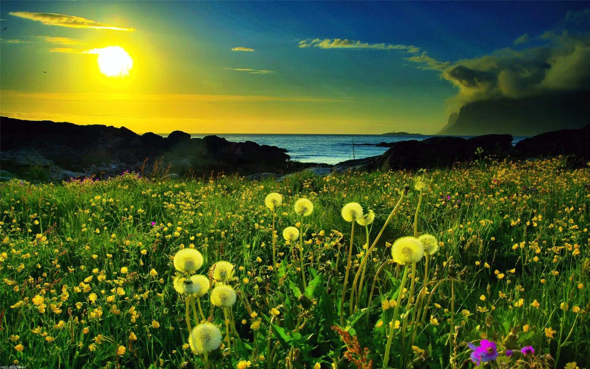 清晨自然唯美养眼美图117