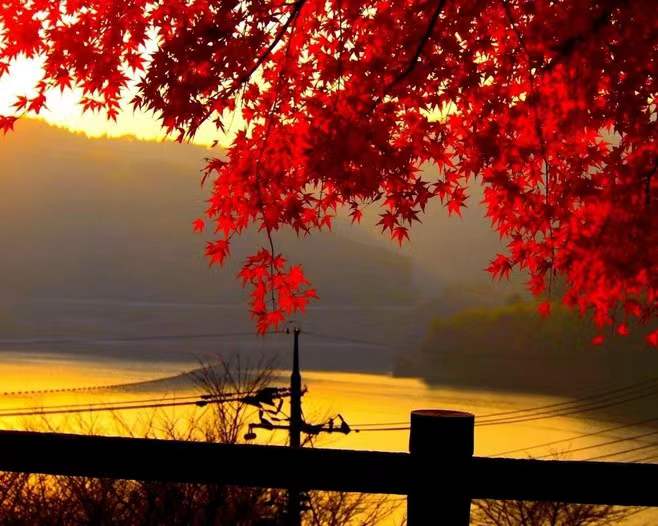 清晨自然唯美养眼美图117