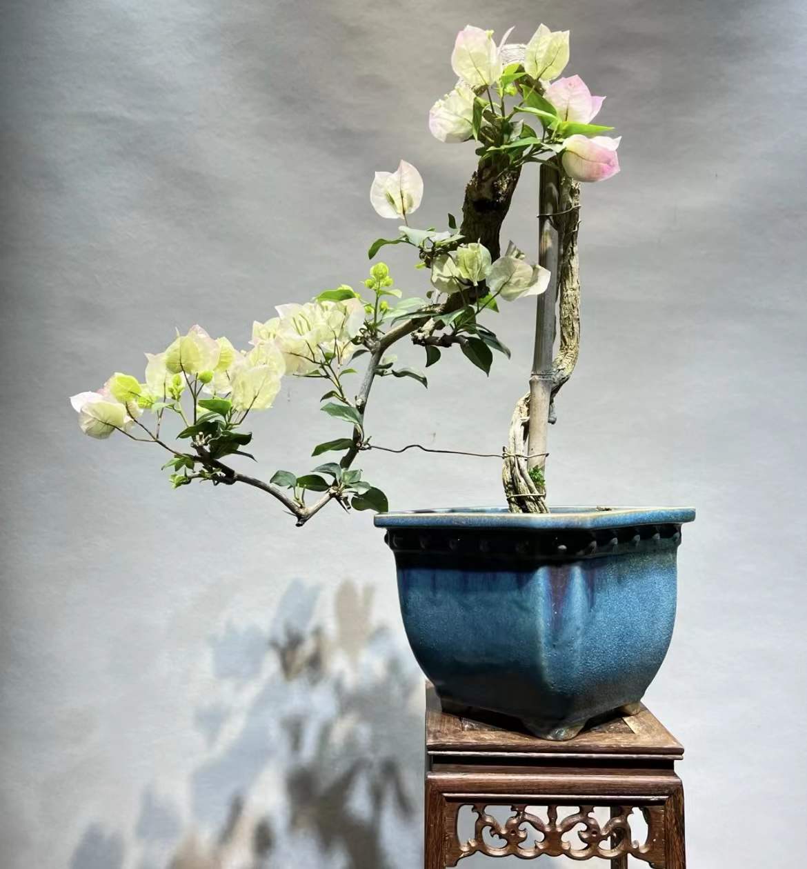 亚马逊悬挂盆栽组合 仿真盆栽垂条盆景 室内装饰家居壁挂装饰植物-阿里巴巴