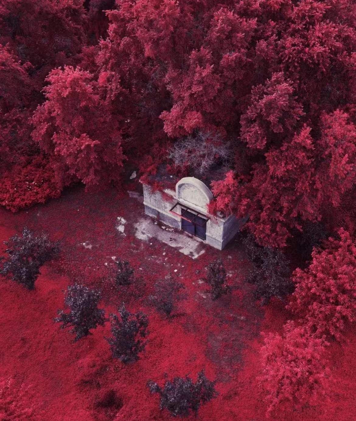 好看的红色迷人图片