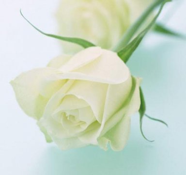 男人跟你聊未来说明什么,男生说与你相处很轻松要表达什么