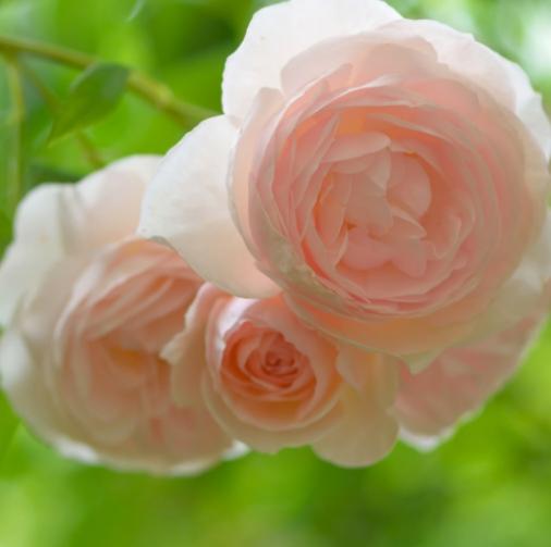 男人跟你聊未来说明什么,男生说与你相处很轻松要表达什么