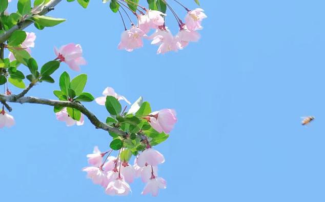 婚姻线有三条代表什么，怎么看夫妻是不是正缘