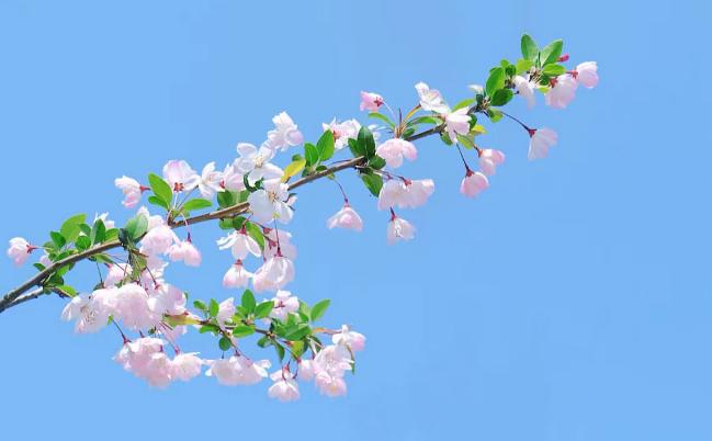 婚姻线有三条代表什么，怎么看夫妻是不是正缘