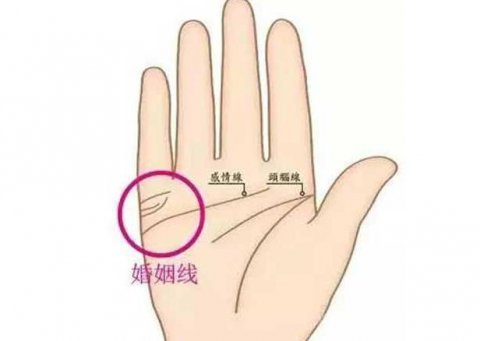 男人如何从手掌看婚姻，男人从手掌可以看出有几婚吗