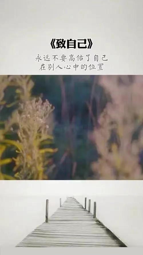 永远不要高估自己图片,讽刺高估自己的图片