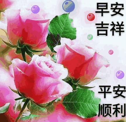 簲ͼƬȫ,簲2022ͼƬ
