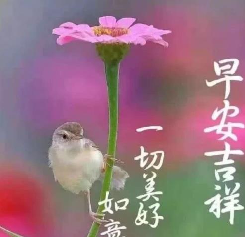 簲ͼƬȫ,簲2022ͼƬ