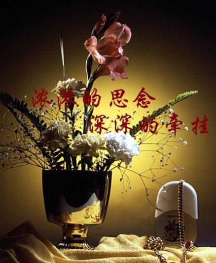 关心牵挂的问候图片,互相牵挂问候带字图片