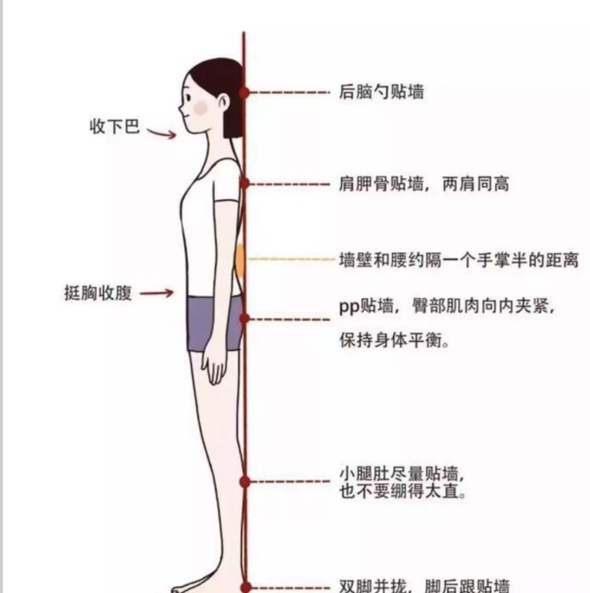 正确站姿图片