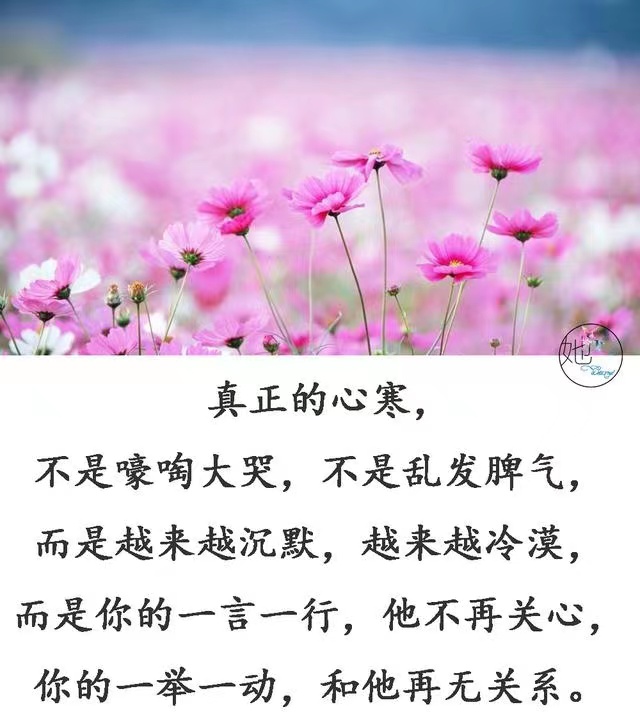 对某人失望心寒的图片