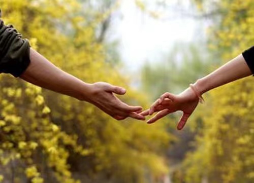 相遇不易彼此珍惜图片