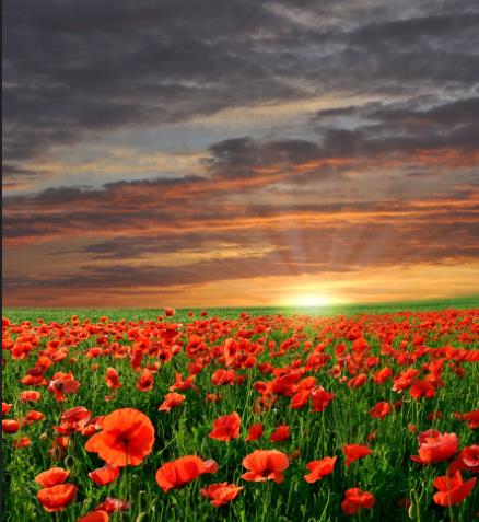 太阳刺眼的唯美图片,光芒四射的太阳图片唯美