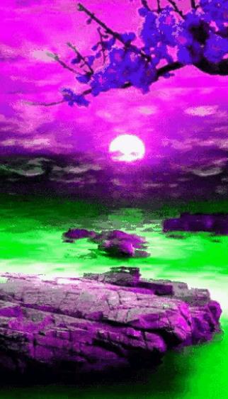 紫气东来图片大全