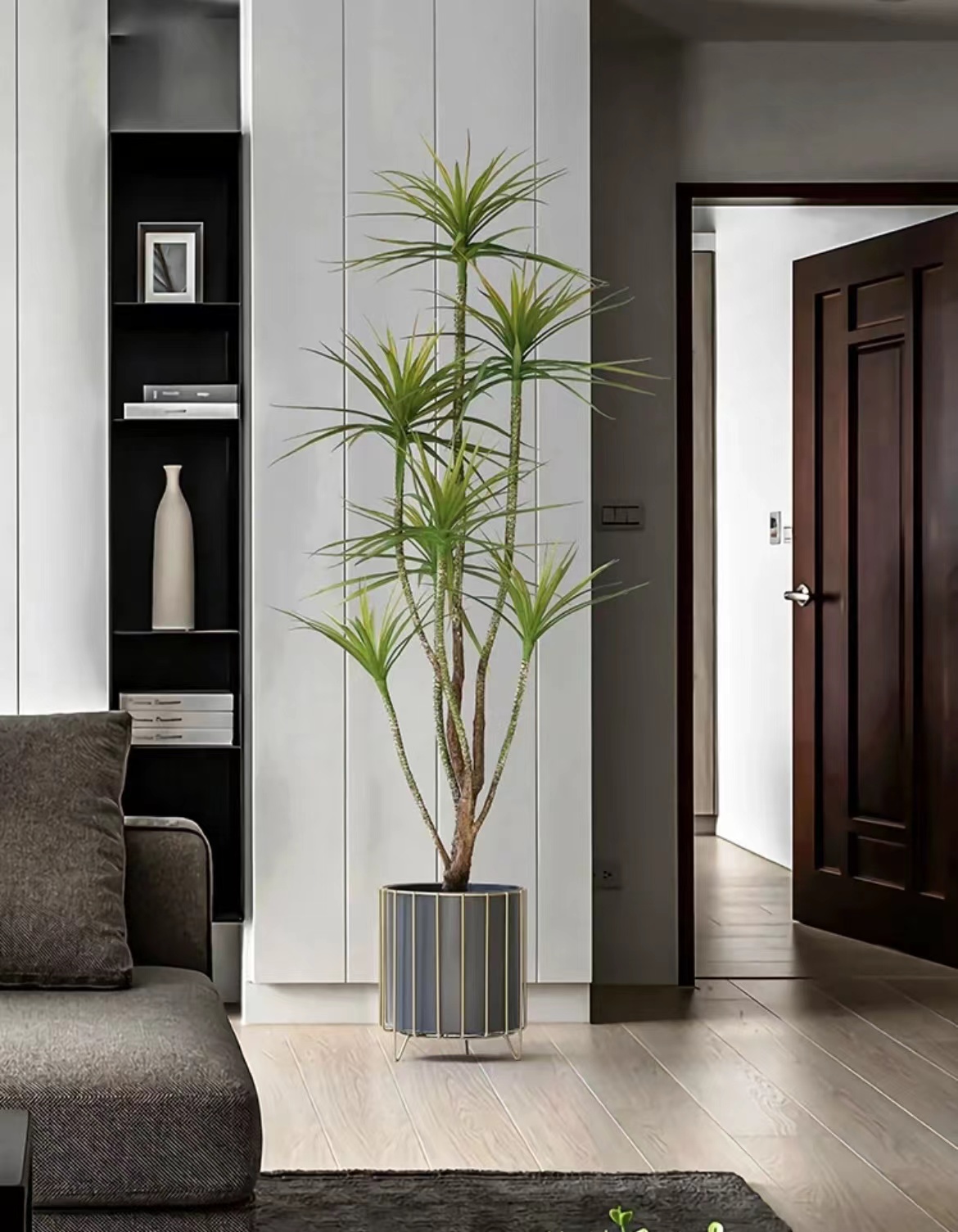 高端大气上档次的花盆图片,客厅最上档次绿植