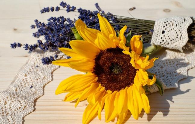 人到老了守住三样东西,人到老了必须要有三样东西