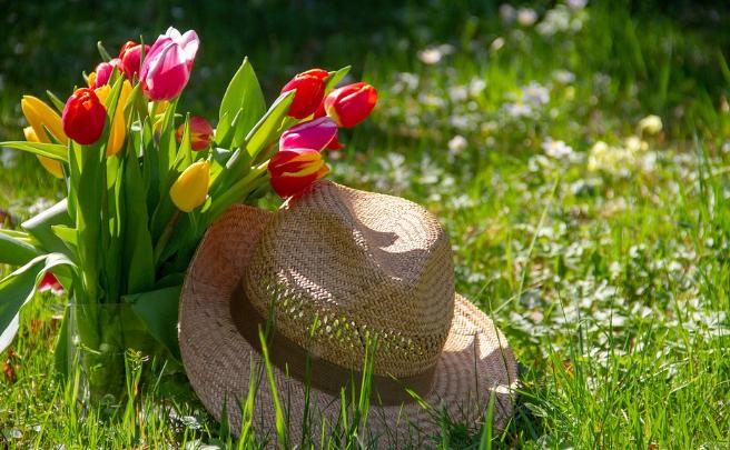 人到老了守住三样东西,人到老了必须要有三样东西