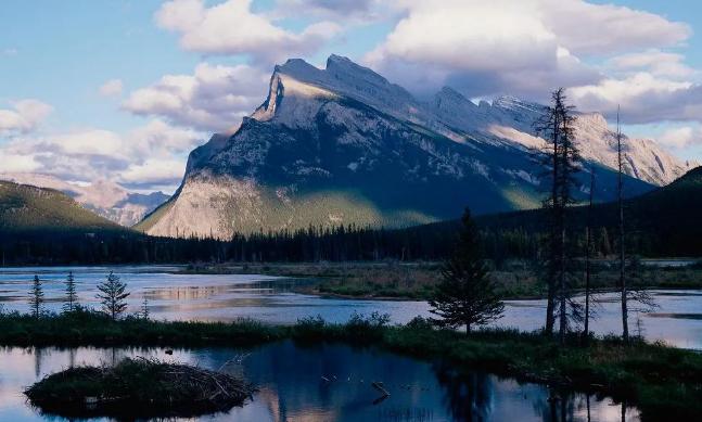 人到30岁为什么会变胖,男人30岁变胖是什么原因