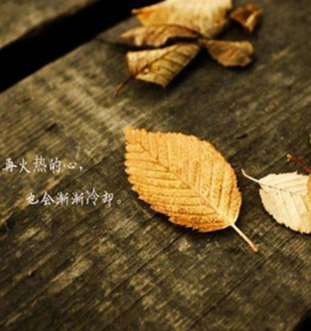 心凉心寒的图片