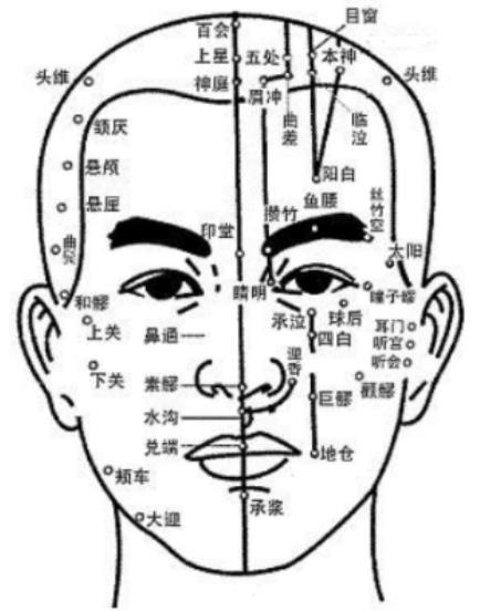 头部穴位图解大全图