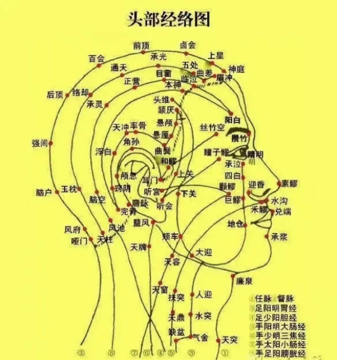 人体头部按摩位置图图片