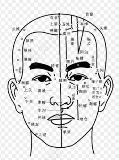 头部穴位图解大全图