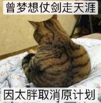 高级自嘲经典图片，自嘲图片苦笑无奈