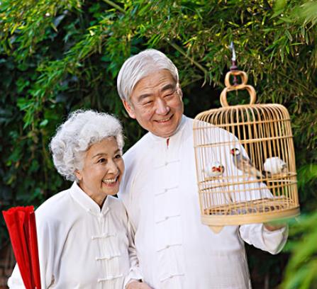 老年夫妻相互疼爱图片,老年夫妻恩爱陪伴的照片