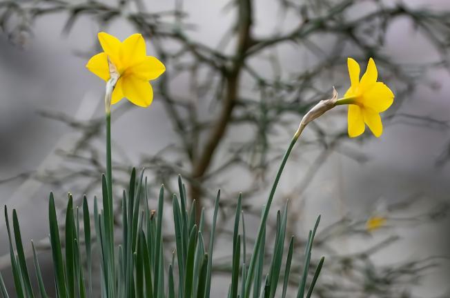 男人多大开始明显衰老，男人衰老最快的年龄段